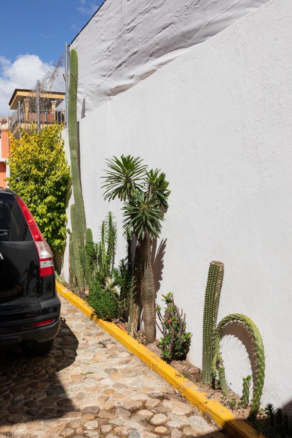 Siento Oaxaca Lägenhet Exteriör bild